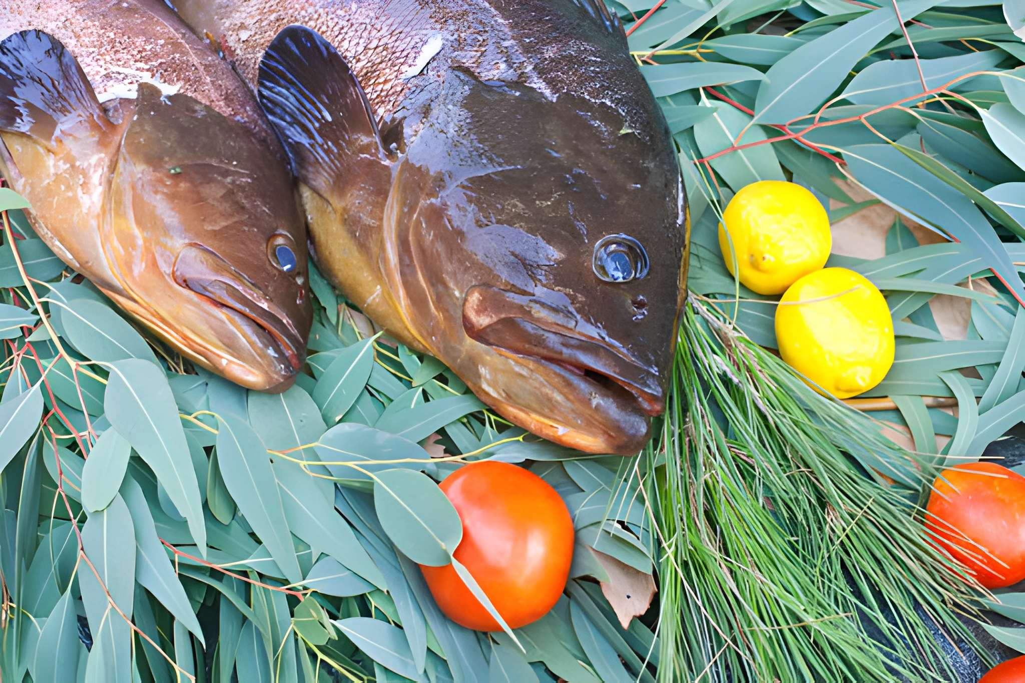 Fresh fish picnic
