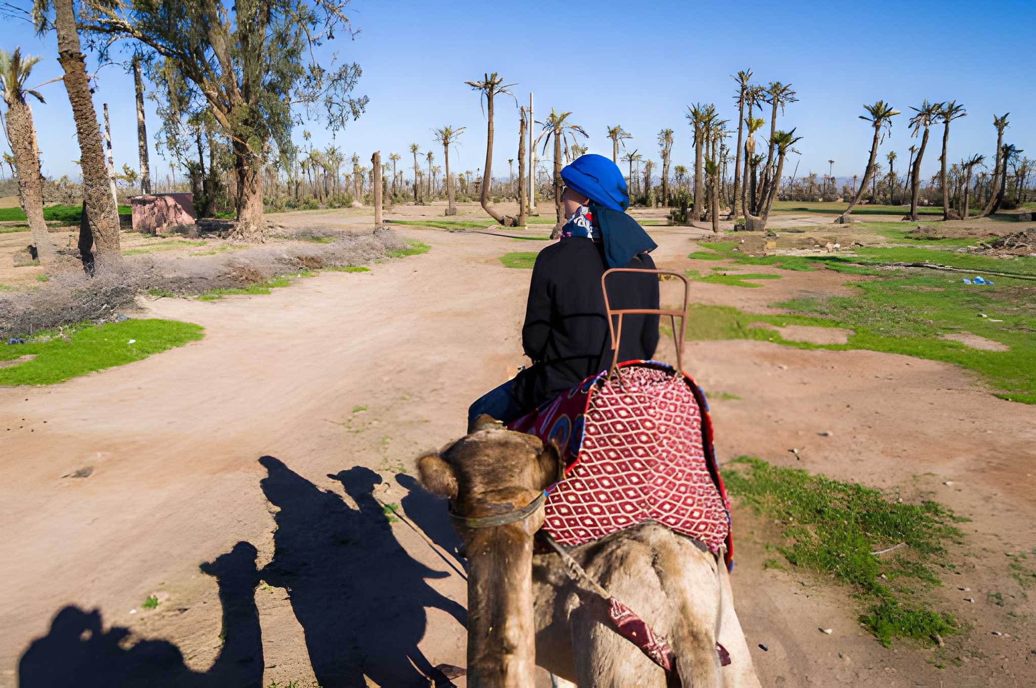 Camel photo moment in Palmeraie