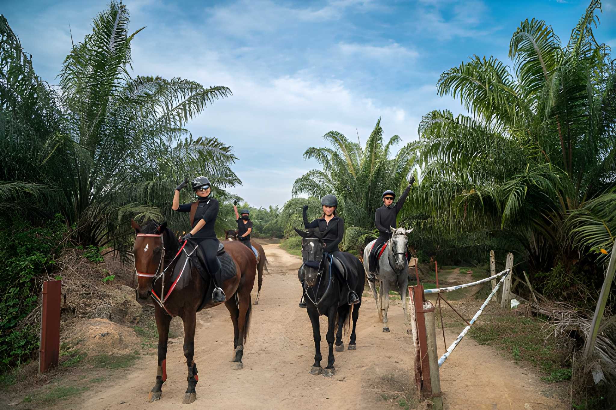 Group horseback riding experience in Palmeraie