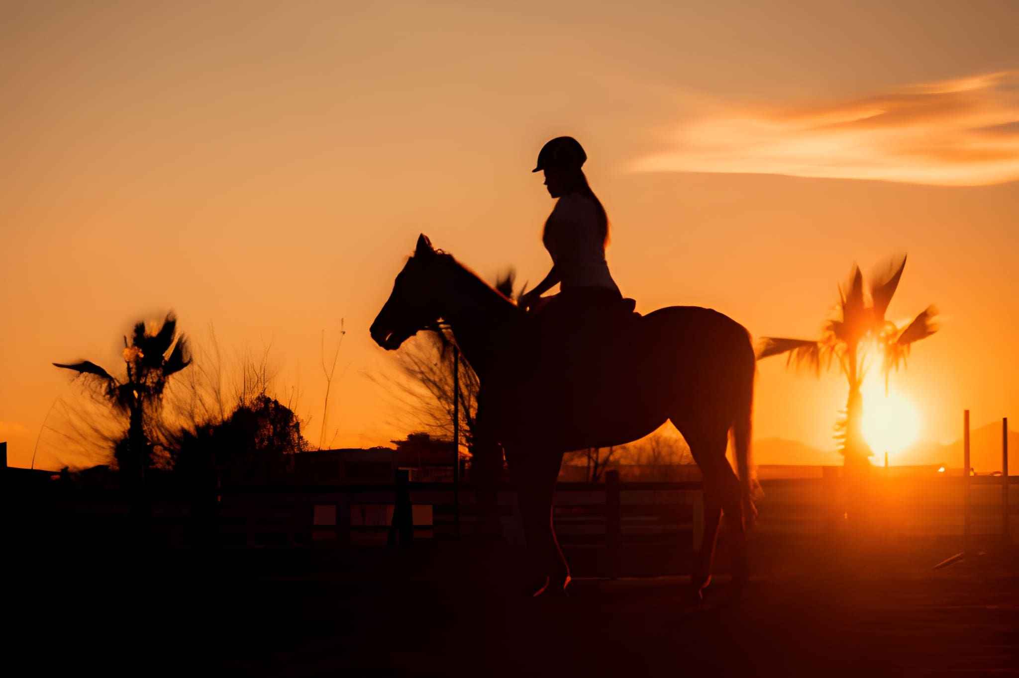 Horse riding at sunset in Palmeraie Marrakech