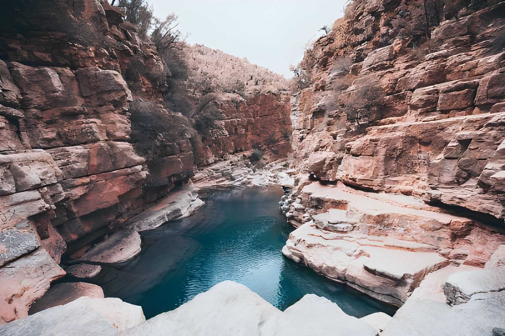 Paradise Valley nature